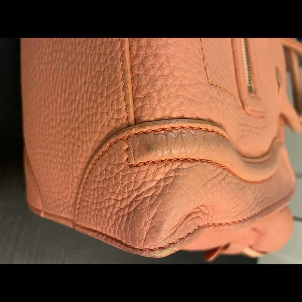 Celine Luggage Bag - Japan Exclusive - Picture 7 of 12